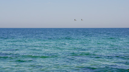 Minimalist landscape with two birds flying over a vast blue sea. Negative space seascape.