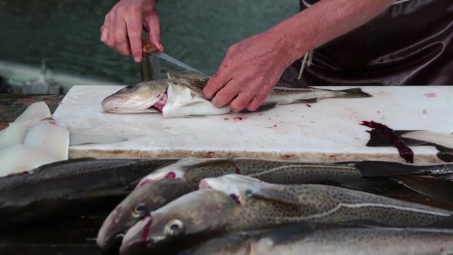 Filleting of cod fish in the market