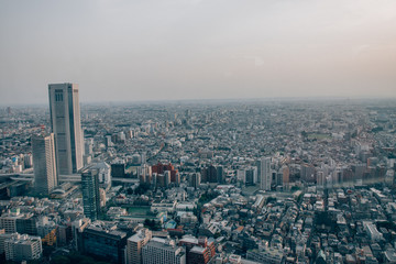 View from Metropolitan Government Building in Tokyo Japan