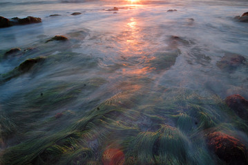 Submerged tide pools as the sun sets along the coast