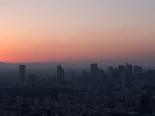 Naklejka na ściany i meble Skyline of Tokyo while Sunset