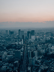 Skyline of Tokyo while Sunset