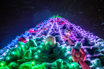 Christmas tree bottom view