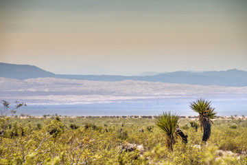 Utah, Nevada, California (USA)