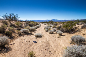 Utah, Nevada, California (USA)