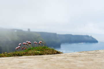 Cliff of Moher