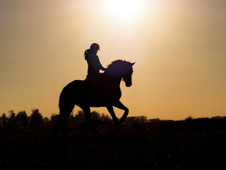 Reiter beim Sonnenuntergang