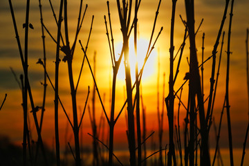 Sonnenuntergang am Schaumberg im Saarland