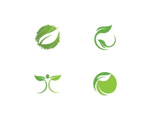 green leaf ecology