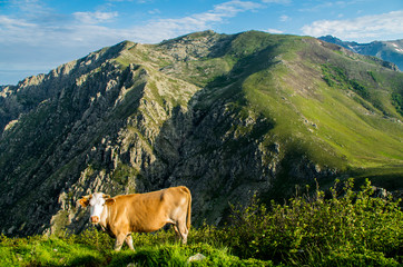 Corsica Mountains Panorama (Corsica, France)