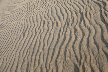 Ripples on a sand dune