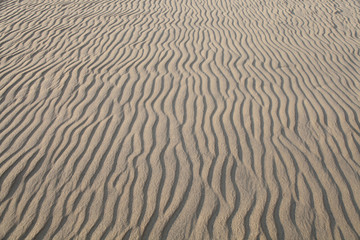 vertical undisturbed ripples in sand