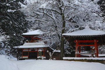 冬の極楽寺