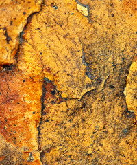 Stone texture closeup background