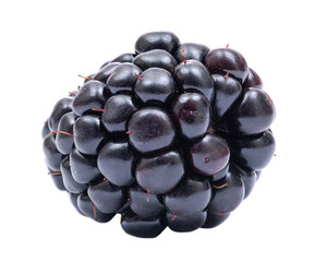 Macro shot of fresh ripe organic blackberry isolated on white background.