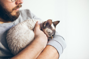 Tabby cat lies on man's hands. Close-up of a beard man with sleeping cat on his arms. Feeling relaxed and resting at home with a cat. Selective focus