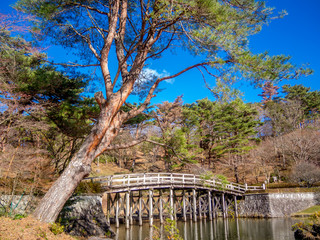 【静岡県伊豆市】冬の日本庭園風景【修善寺虹の郷】