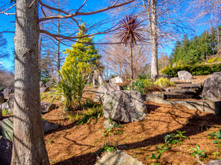 【静岡県伊豆市】初冬の公園風景【修善寺虹の郷】