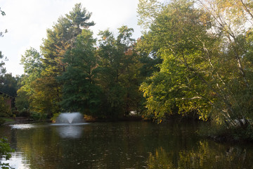 water fountain in the middle of a pond in a park on a spring afternoon