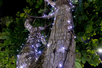 A Magia do Natal Luz - Garanhuns