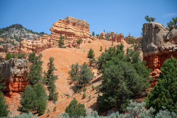 Red Rock Canyon with Trees, Southern Utah