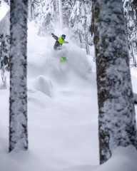 Snowboarder Riding Untouched Powder Snow in Tree Framed Portrait