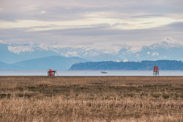 open filed with brown grasses with water mills and snow covered mountain in the background under cloudy sky