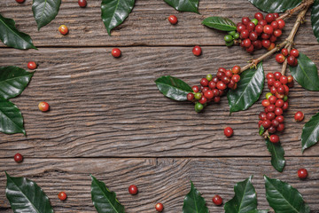 Close up fresh organic red coffee beans with coffee leaves on wooden background with copy space