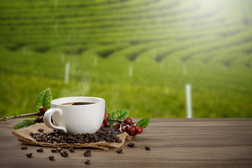 Hot coffee cup with fresh organic red coffee beans and coffee roasts on the wooden table and the black background with copyspace for your text.