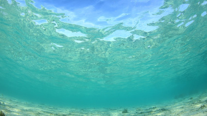 Fototapeta na wymiar Underwater ocean background 