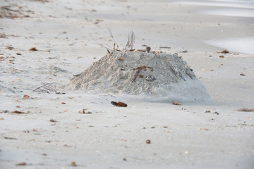 DIRTY SAND ON THE BEACH