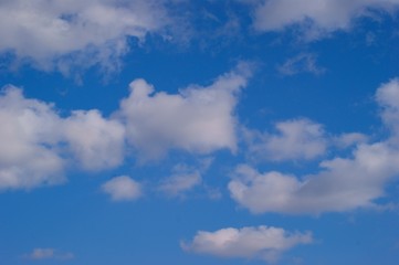 Fototapeta premium White cumulus clouds blue sky