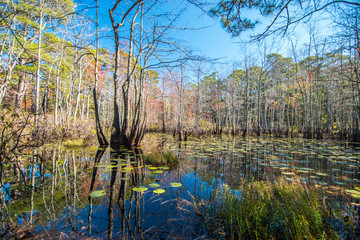 First Landing State Park