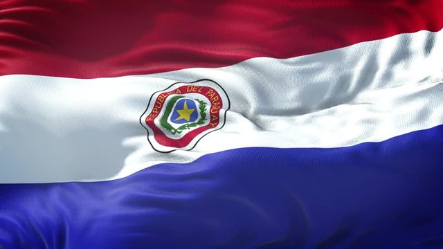 Realistic Flag of Paraguay Loop