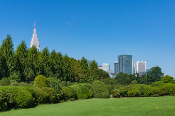 Fototapeta premium Krajobraz lato park z wysokich budynków biurowych w tle