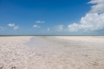 Stuary at Isla Blanca, Mexico