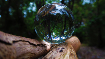 planeta verde © vanessa