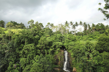 Fototapeta premium The waterfall. The waterfall with the mountains in the country of Indonesia, Bali