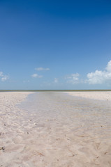 Stuary at Isla Blanca, Mexico