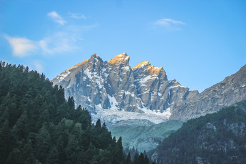 Sunrise on a snow-capped mountain peak. A mountain with a glacier and a pine forest in the foreground