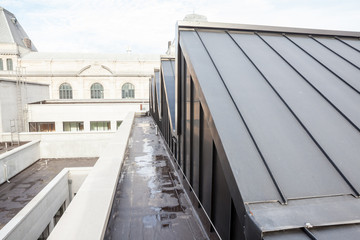 flat roof with dome