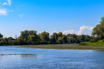 Summer landscape with beautiful river, green trees and blue sky