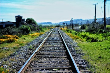 Fototapeta na wymiar Línea de tren