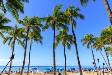 Oahu Waikiki Beach