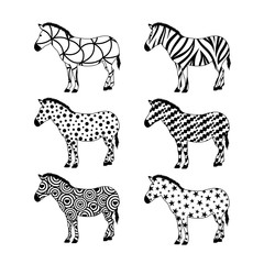 Set of zebras. Variety pattern design.  Wild animal texture. Vector illustration isolated on white background.