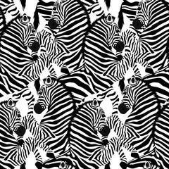 Zebra seamless pattern. Wild animal, striped black and white. design trendy fabric texture. Vector illustration isolated on white background.