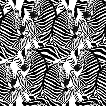 Zebra seamless pattern. Wild animal, striped black and white. design trendy fabric texture. Vector illustration isolated on white background.
