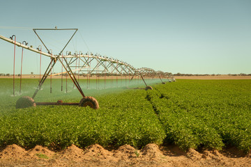 Rural Australian countryside agricultural landscape at Center Pivot Irrigation in rural farming fields