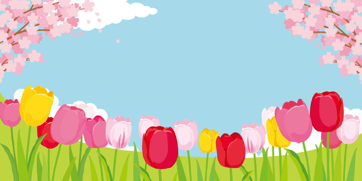 桜とチューリップ　背景イラスト