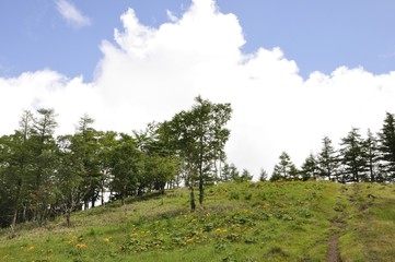 笠取山の高原